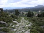 DSCN5358 (Large).JPG
