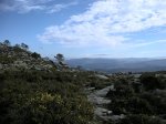 DSCN5325 (Large).JPG