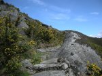DSCN5339 (Large).JPG