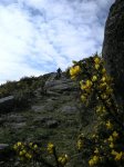 DSCN5331 (Large).JPG