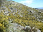 DSCN5333 (Large).JPG