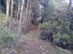 22042010902_redimensionar.jpg