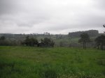 PICT0019.jpg