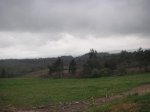 PICT0012.jpg