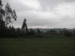 PICT0011.jpg