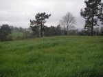 PICT0020.jpg