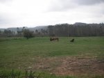 PICT0013.jpg
