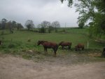 PICT0029.jpg