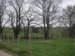 PICT0027.jpg