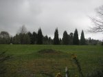PICT0036.jpg