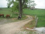 PICT0030.jpg