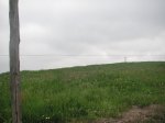 PICT0052.jpg