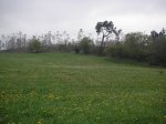 PICT0056.jpg