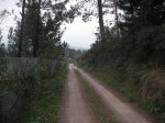 PICT0061.jpg