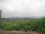 PICT0053.jpg