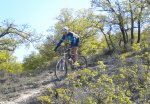 DSCN1487.JPG
