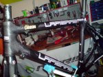 lap cuadro 1.jpg