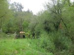 k 02 IMG_3757.JPG
