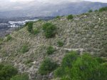 2010_0107durcal01_100011.jpg
