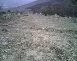 IMG00005.jpg
