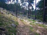 Foto14.JPG