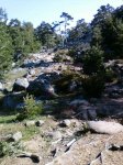Foto0131.jpg