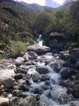 25042010_010.jpg