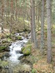 IMG_3064.JPG