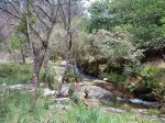 DSC01760.jpg