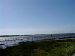 DSC01763.jpg