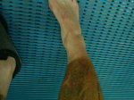 DSC01764.jpg
