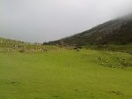 24042010128_redimensionar.jpg
