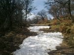 24042010150_redimensionar.jpg