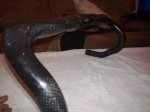 24042010025.jpg