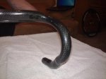 24042010027.jpg