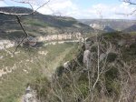 DSC01323.jpg