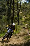 _DSC0278_mini.jpg