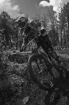 _DSC9871bw_mini.jpg