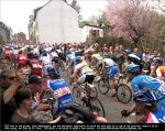 lbl10-up.jpg
