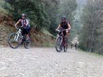 250420101239.jpg