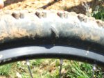 benavente 2010 007.jpg