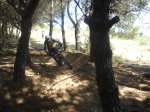 DSC07528.jpg