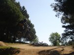 DSC07548.jpg