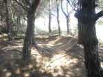DSC07527.jpg