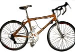 bicicleta-Bambu--1-ruta-600.jpg