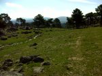 DSC00217.JPG