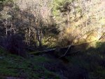 DSC00212.jpg