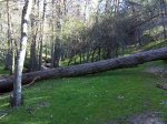 DSC00215.jpg