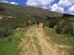 DSC00233.jpg