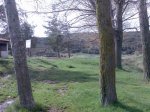 Imagen024.jpg